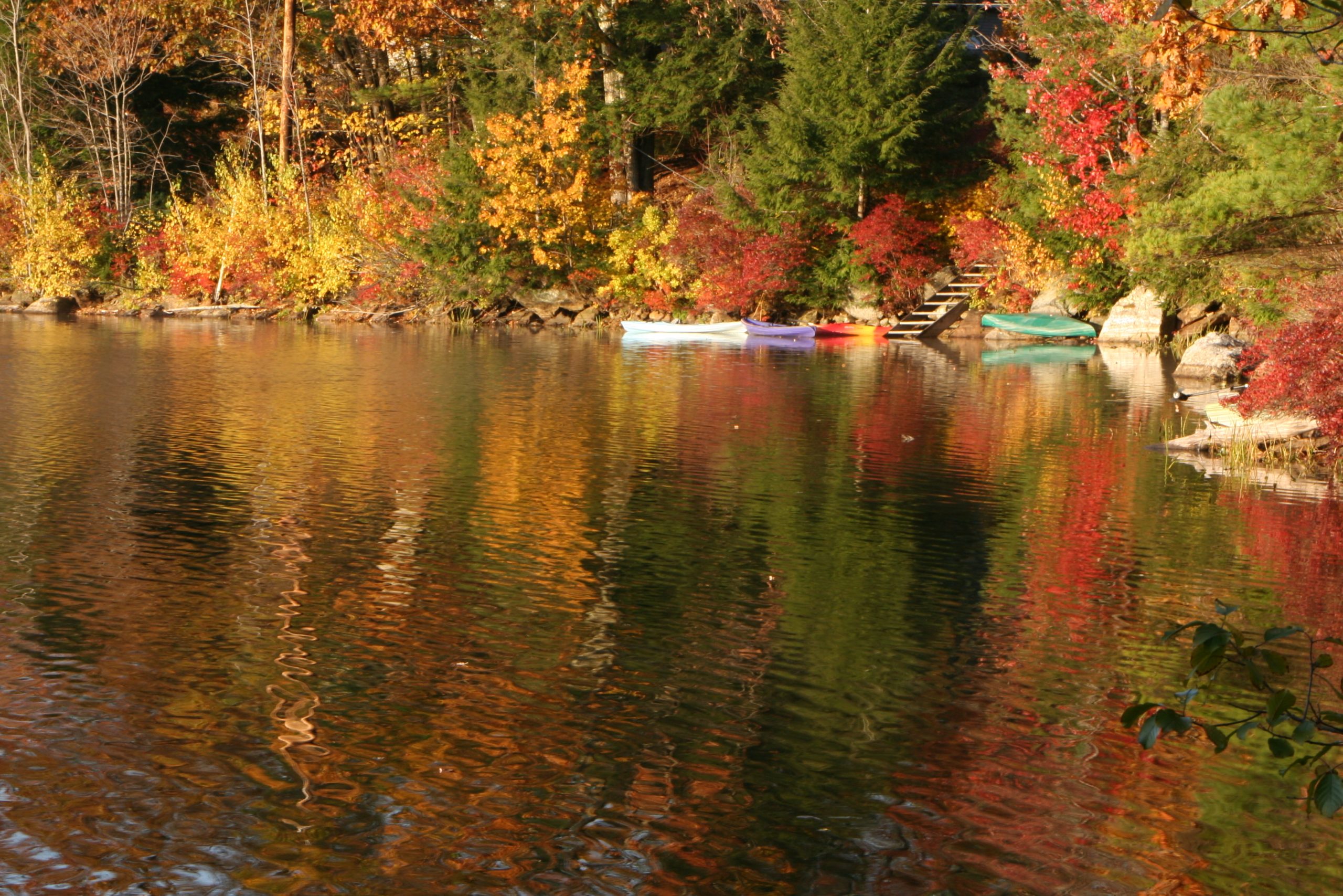 Autumn Boats (user submitted)