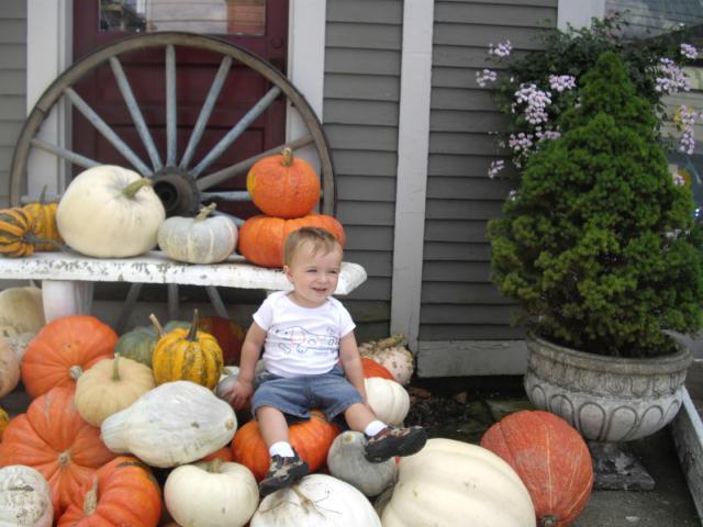 Cutest Pumpkin In The Patch ! (user submitted)
