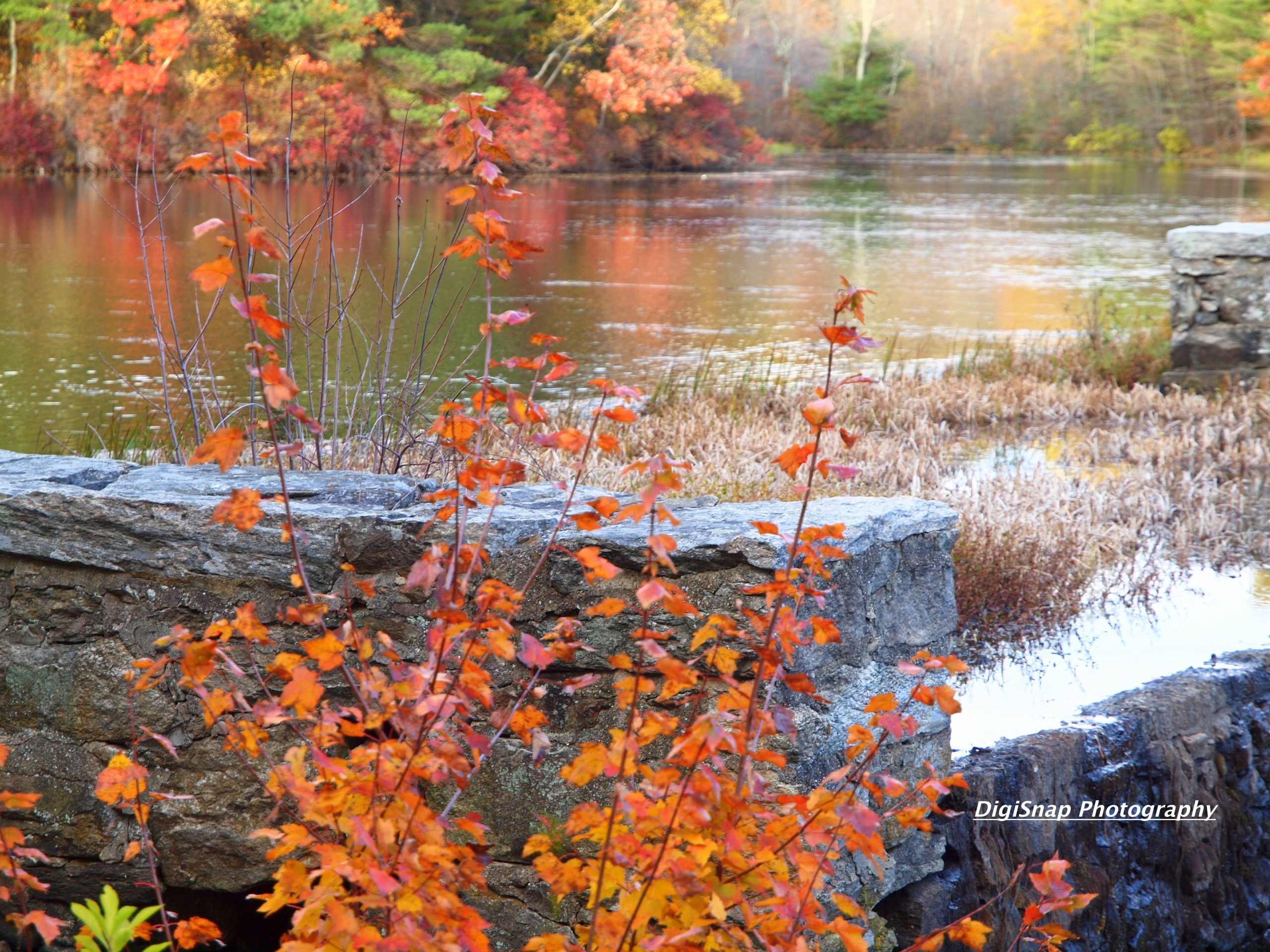 Fall In Northbridge, Massachusetts (user submitted)