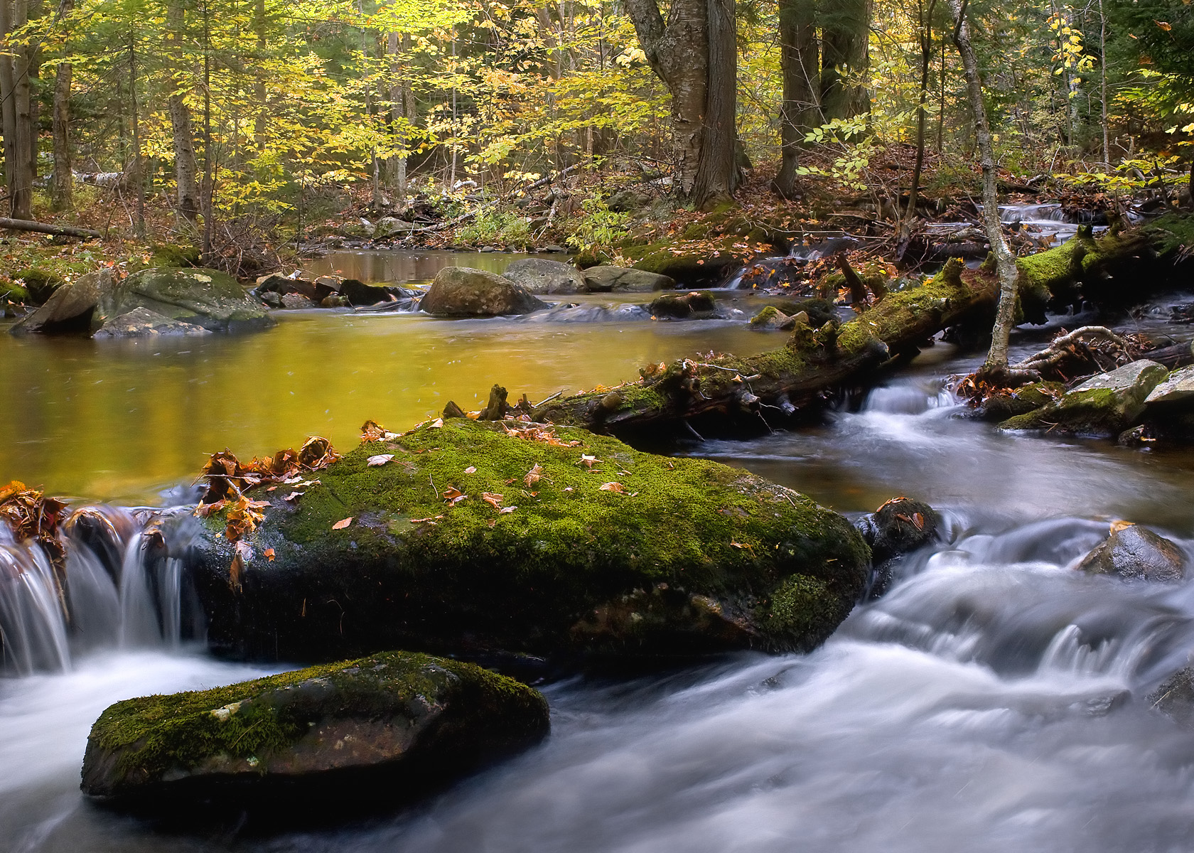 Fall Stream-new Hampshire (user submitted)