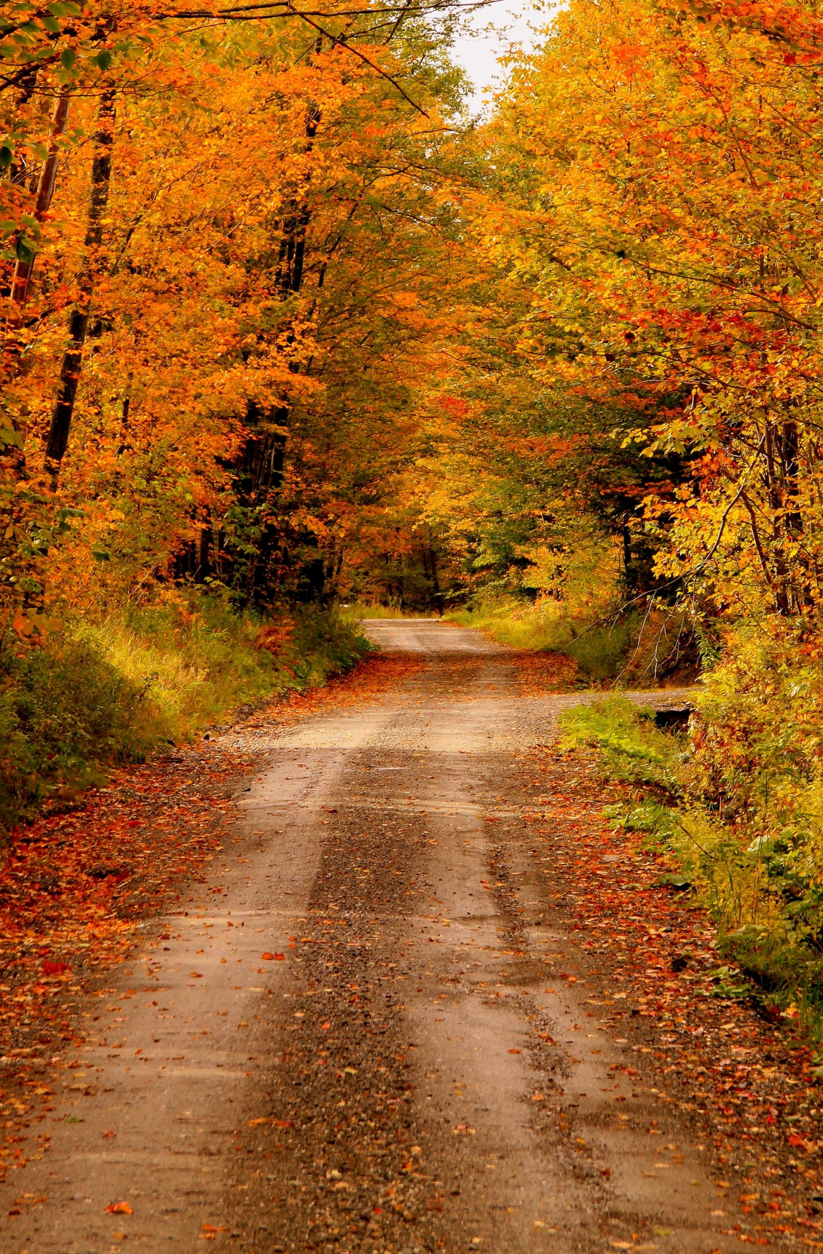 Vermont Country Road (user submitted)