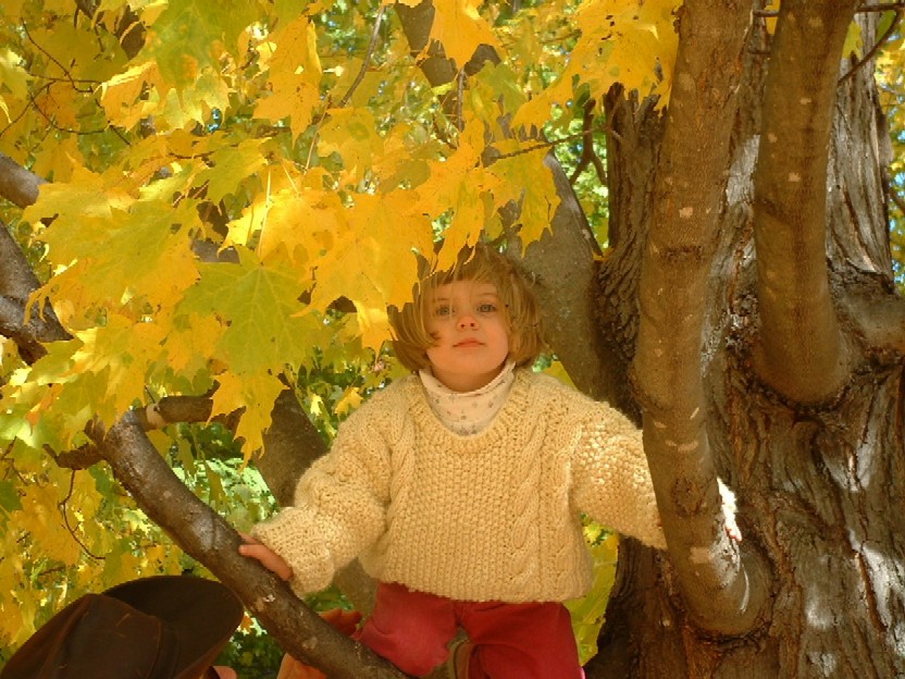 Clare in Vermont October 2002 (user submitted)