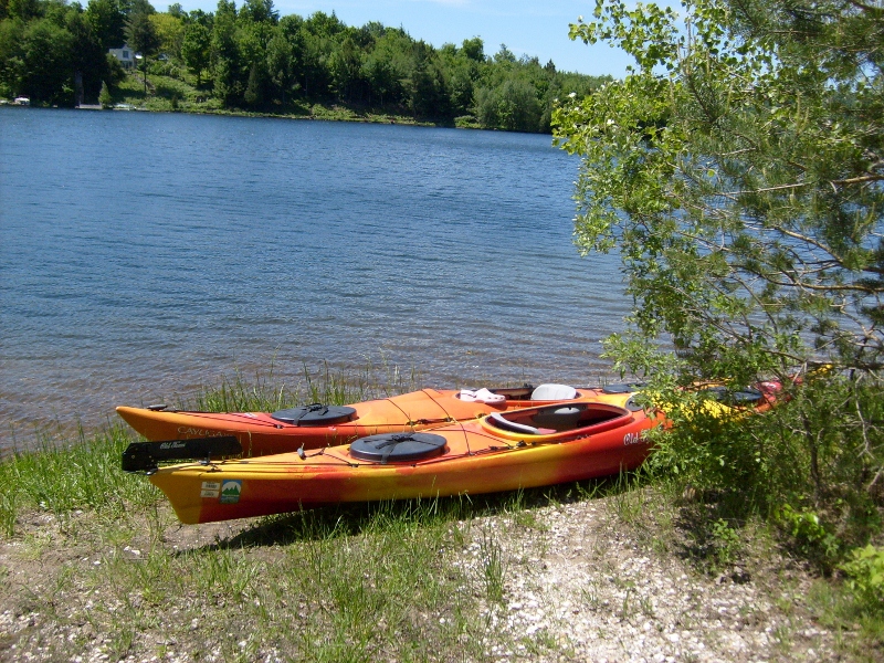 Kayaking (user submitted)