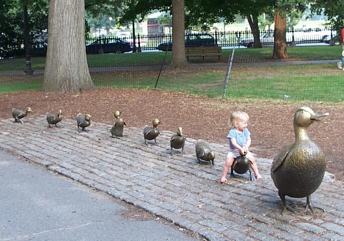 Make Way For Ducklings (user submitted)