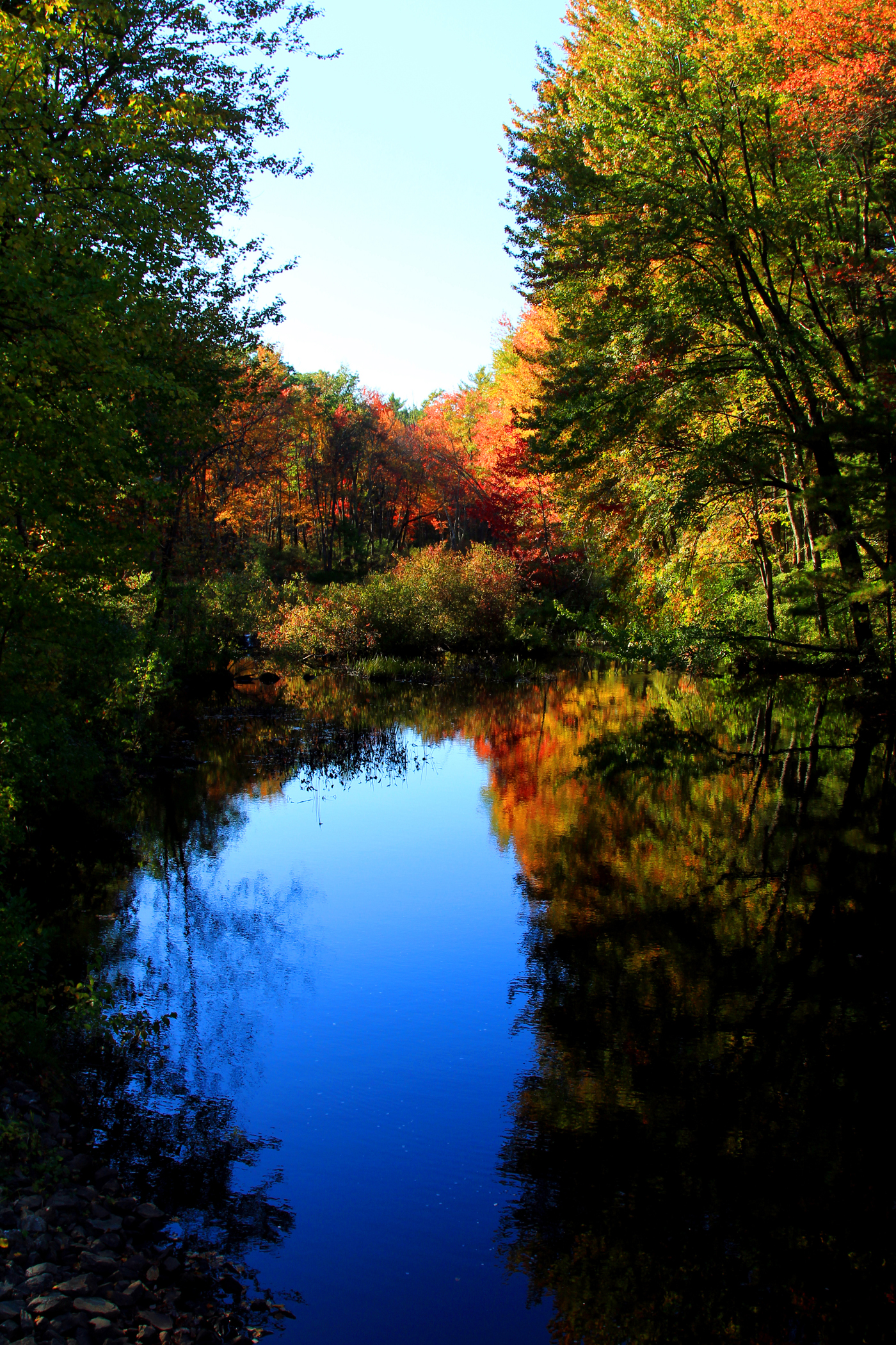 Autumn On Perrins Pond (user submitted)