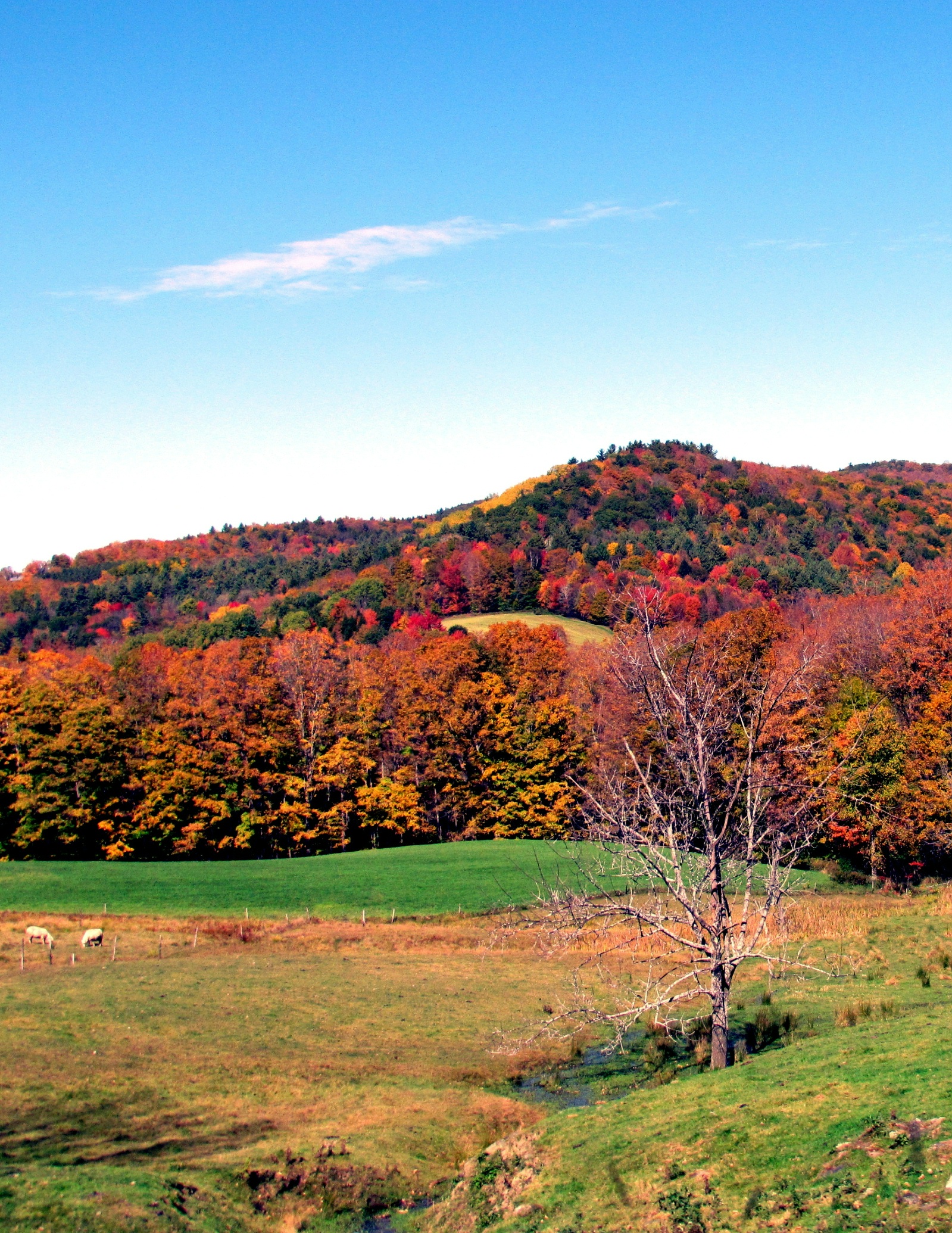 Vermont Countryside Autumn  (user submitted)