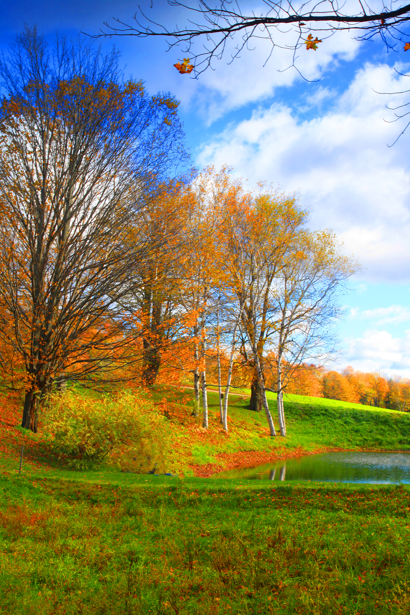 Fall Landscape (user submitted)