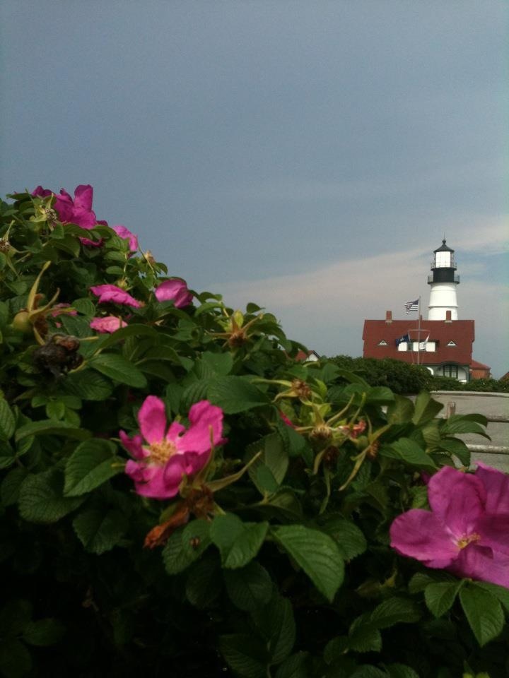 Portland Head Light Maine (user submitted)