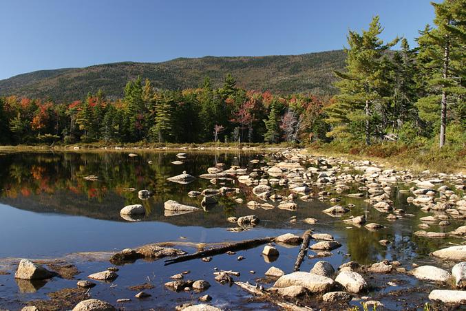 Lily Pond off Kancamagus HY 1 (user submitted)