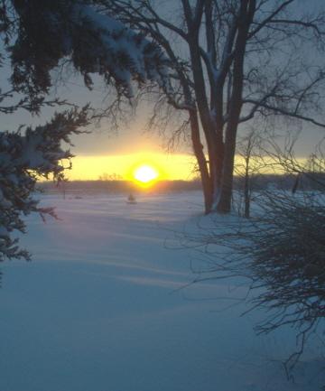 Winter Sunrise (user submitted)