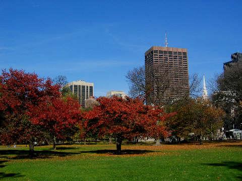 Autumn Spendor&#8211;Boston Common (user submitted)