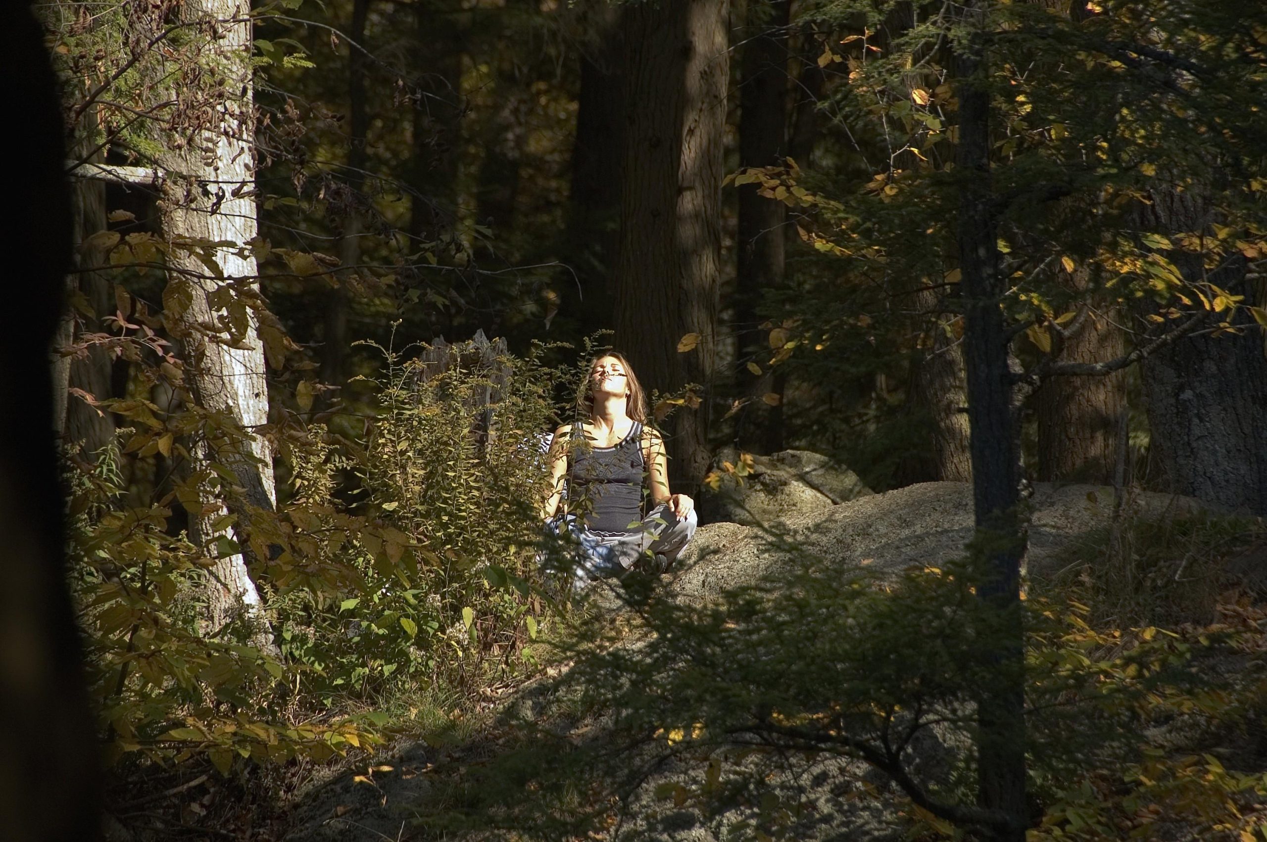 Meditation at Kent falls (user submitted)