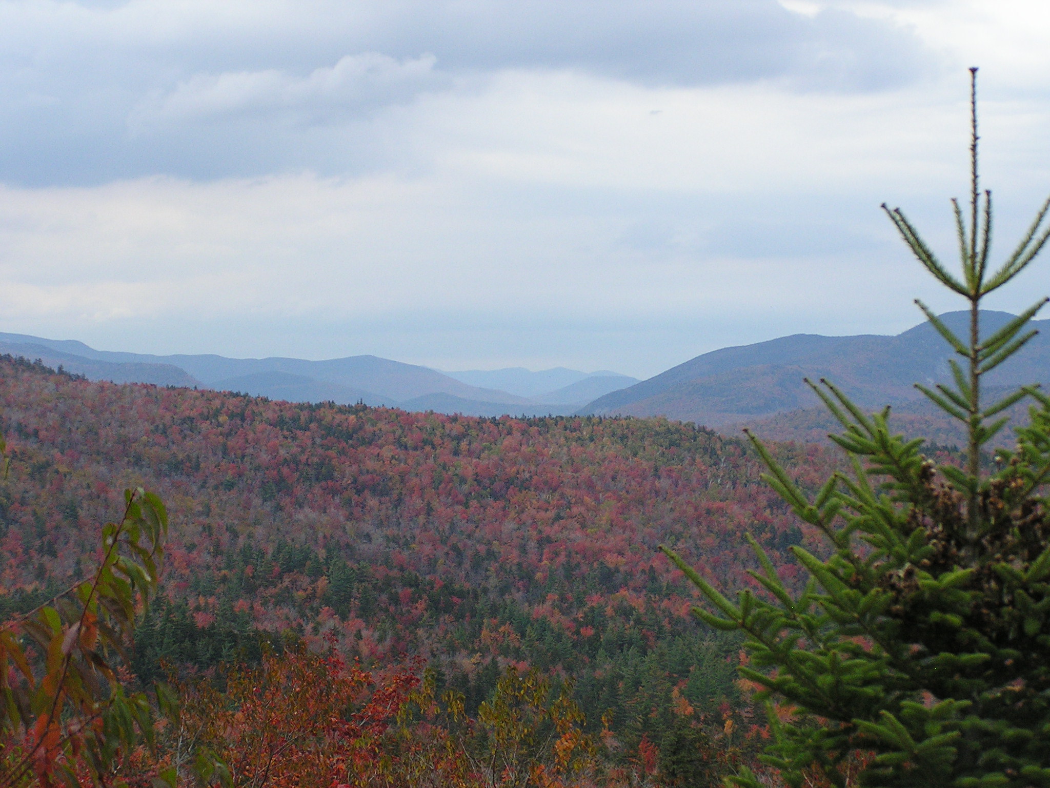Fall in NH (user submitted)