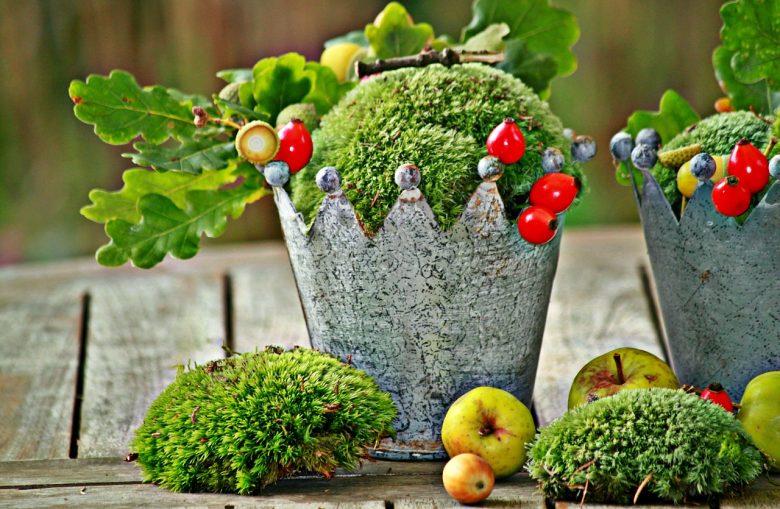 Moss Garden | Advice and Recipe to Age Pots