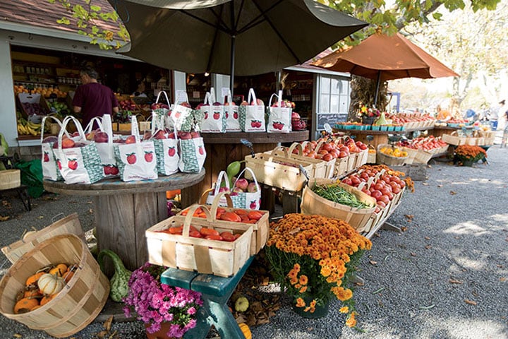 The Rhode Island farm coast road trip includes scenes like this one at Walker's Roadside Stand in Little Compton, RI.