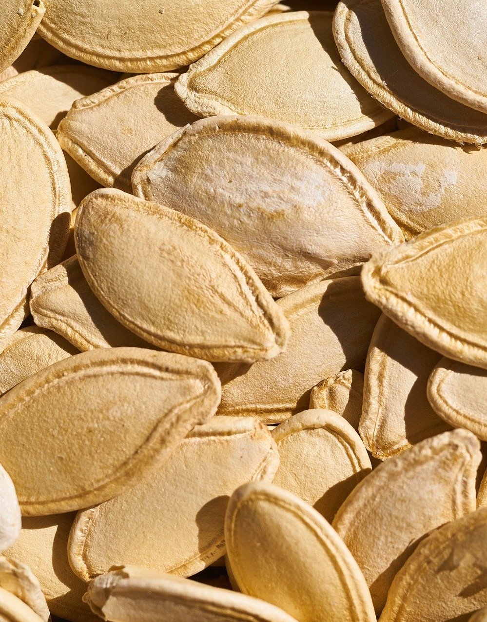 pumpkin seeds pixabay vertical