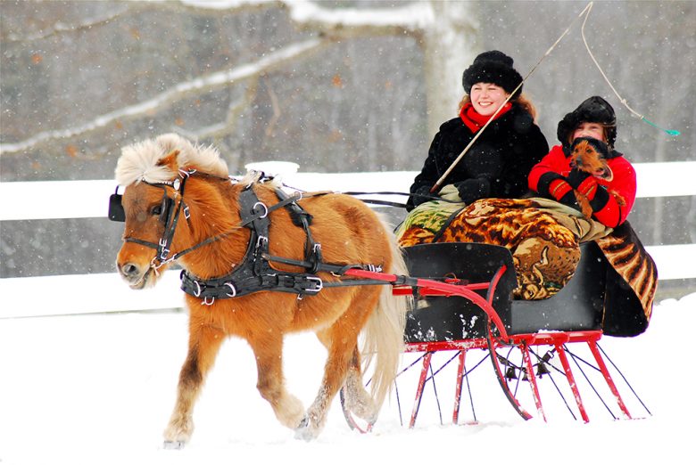 Sleigh Ride in the Snow