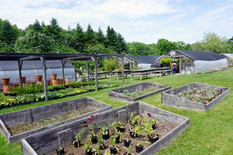 Wander around back and you'll really begin to take in the full Snug Harbor Farm experience. 