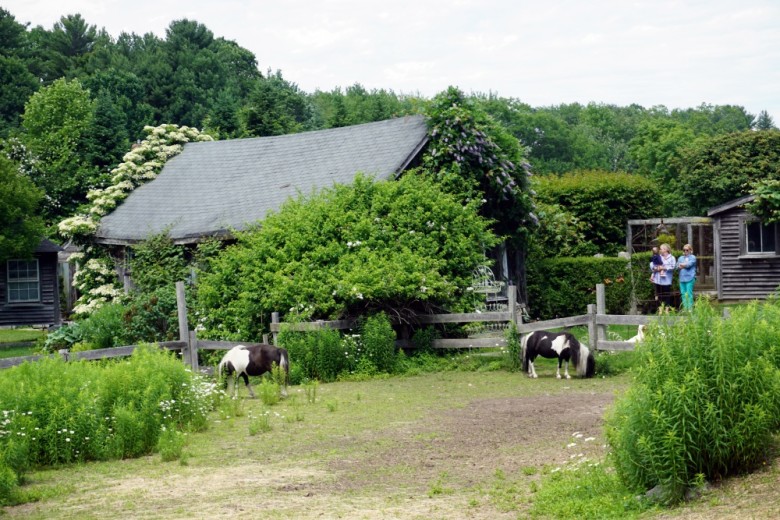 First, stop to admire the view of the Snug Harbor Farm ponies chilling in their very own pasture. 