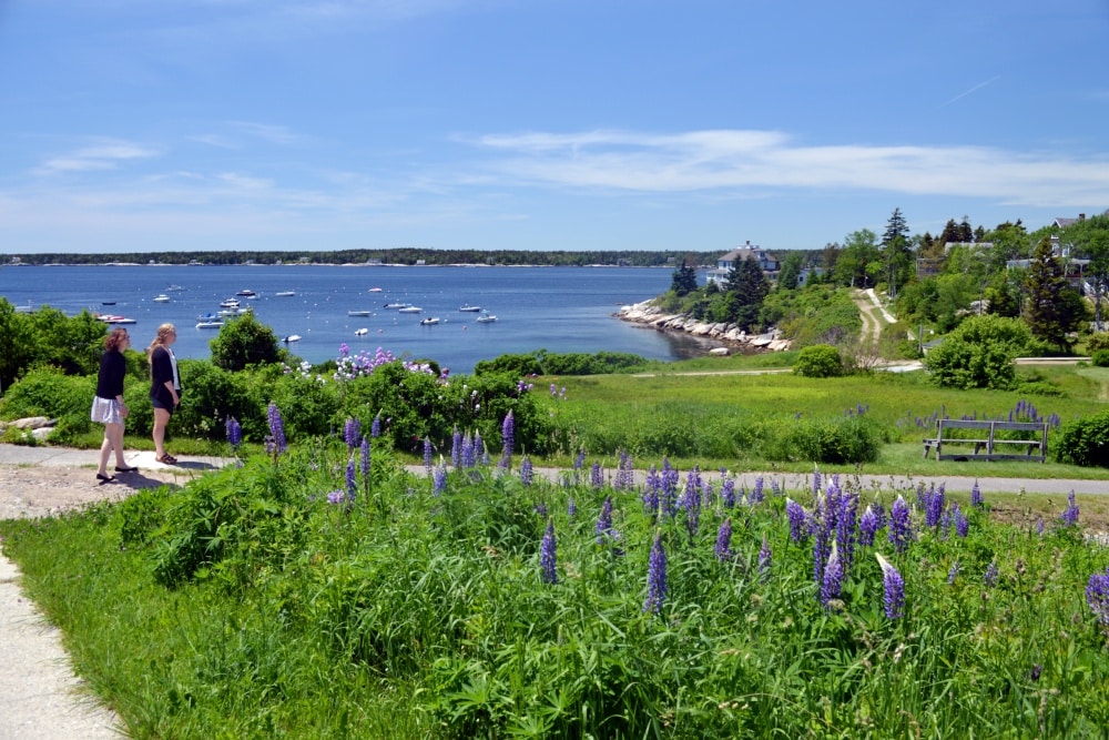 5 Maine Islands to Visit This Summer