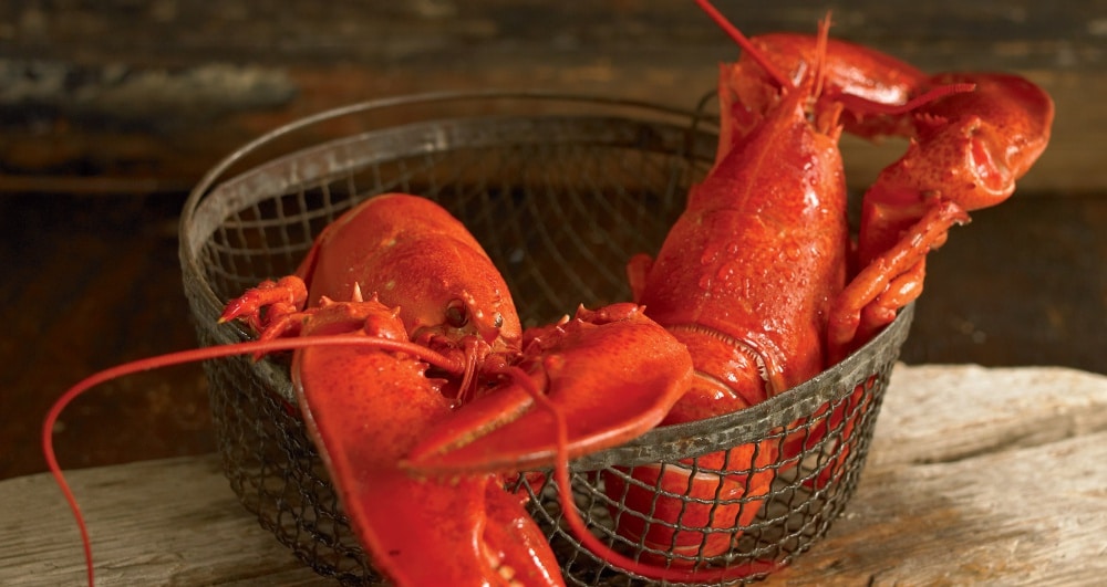 How to Cook Lobster | Tips from Bertha Nunan