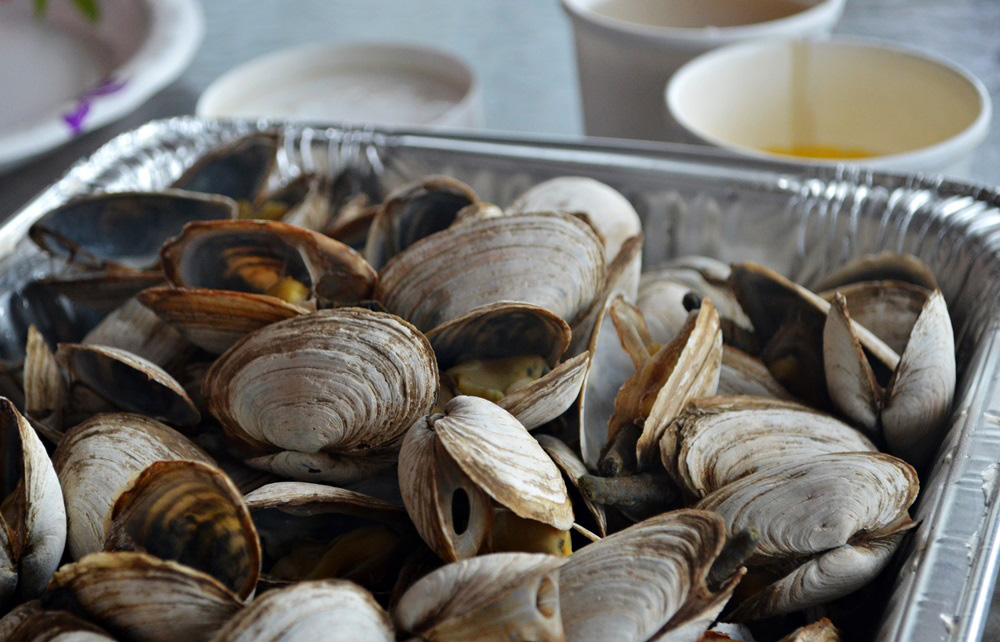 steamer-clams