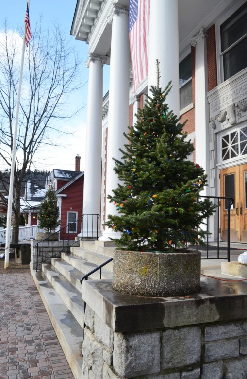 A pair of festive trees outside the Stowe Theater Guild. 