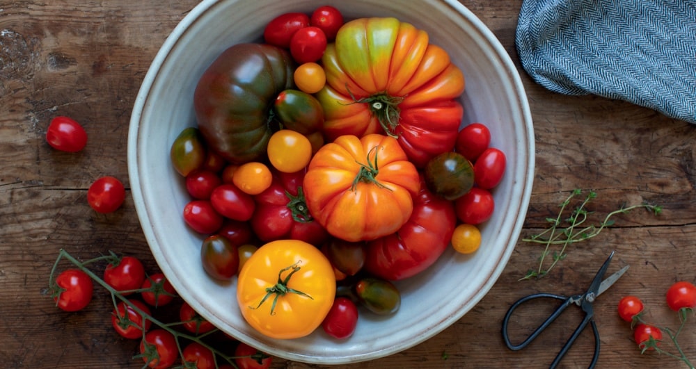 summer-tomato-recipes-og