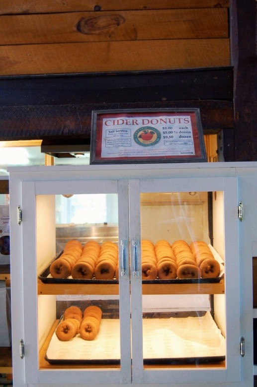 If you haven’t already, the award-winning apple cider donuts at Russell Orchards are something you just have to try.