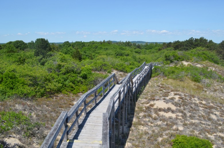 Things to Do on Plum Island in Summer